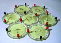 Демонстрационный комплект «Силовые линии электрического поля разных систем зарядов» - fgospostavki.ru - Казань