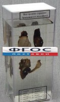 Влажный препарат "Внутреннее строение брюхоногого моллюска" - fgospostavki.ru - Казань