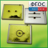 Набор для демонстрации электрических полей - fgospostavki.ru - Казань