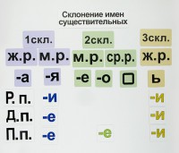 Набор магнитных карточек "Склонение имен существительных" - fgospostavki.ru - Казань
