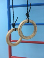 Кольца навесные для детского спортивного комплекса (диаметр 16 сантиметров, фанера) - fgospostavki.ru - Казань