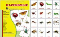 Демонстрационные карточки "Насекомые" - fgospostavki.ru - Казань