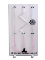 Сосуды сообщающиеся (вариант 2) - fgospostavki.ru - Казань