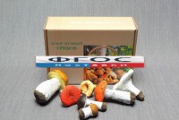 Набор муляжей грибов - fgospostavki.ru - Казань