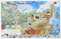 Магнитные карточки "Животные" - fgospostavki.ru - Казань