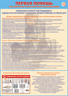Таблица "Первичный осмотр пострадавшего, оценка его состояния и оказание первой помощи на месте ДТП" (100х140 сантиметров, винил) - fgospostavki.ru - Казань