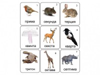 Набор магнитных карточек по музыке "Животные" (9 штук) - fgospostavki.ru - Казань