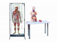 Интерактивный учебный комплекс "Анатомический атлас 3D" - fgospostavki.ru - Казань