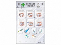 Интерактивный стенд "Живые зубки" - fgospostavki.ru - Казань