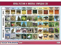 Таблица демонстрационная "Почвы, растения и животные природных зон" (винил 100*140) - fgospostavki.ru - Казань