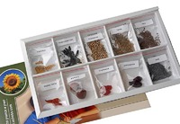 Коллекция "Плоды сельскохозяйственных растений" - fgospostavki.ru - Казань