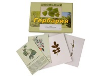 Гербарий "Деревья и кустарники" (22 вида, с иллюстрациями) - fgospostavki.ru - Казань