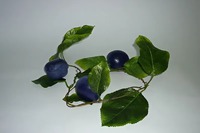 Ветка муляжей "Слива" - fgospostavki.ru - Казань