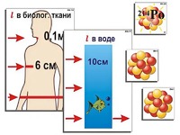 Модель-аппликация "Явление радиоактивности" (ламинированная) - fgospostavki.ru - Казань