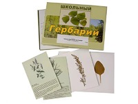 Гербарий "Лекарственные растения" (22 вида с иллюстрациями) - fgospostavki.ru - Казань