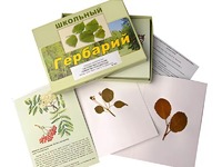 Гербарий "Систематика растений. Семейство Розоцветные" (раздаточный) - fgospostavki.ru - Казань