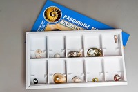 Коллекция "Раковины моллюсков" - fgospostavki.ru - Казань