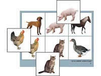 Логопедическое лото "Домашние животные" (4 планшета, 24 карточки, цветное, ламинированное) - fgospostavki.ru - Казань