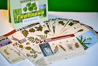 Гербарий к курсу основ общей биологии - fgospostavki.ru - Казань