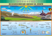 Таблица "Возникновение жизни на земле" (100х140 сантиметров, винил) - fgospostavki.ru - Казань