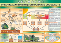 Таблица "Организация и функционирование сообществ" (100х140 сантиметров, винил) - fgospostavki.ru - Казань