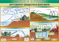 Таблица "Круговорот веществ в биосфере" (100х140 сантиметров, винил) - fgospostavki.ru - Казань
