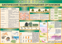 Таблица "Биотические взаимоотношения организмов" (100х140 сантиметров, винил) - fgospostavki.ru - Казань