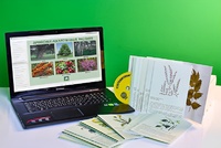 Гербарий натурально-интерактивный "Лекарственные растения" - fgospostavki.ru - Казань