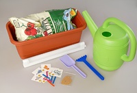 Набор "Я учусь выращивать растения" - fgospostavki.ru - Казань