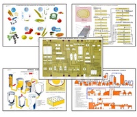 Плакаты ПРОФТЕХ "Сырье и материалы хлебопекарного производства" (20 пл, винил, 70х100) - fgospostavki.ru - Казань