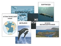 Модель-аппликация "Океаны. Знакомство" (ламинированная) - fgospostavki.ru - Казань