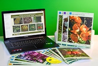 Гербарий натурально-интерактивный "Основные группы растений. Грибы. Лишайники" - fgospostavki.ru - Казань