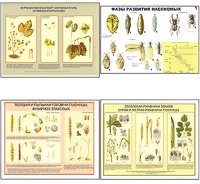 Плакаты ПРОФТЕХ "Вредители и болезни с/х культур и меры борьбы с ними" (11 пл, винил, 70х100) - fgospostavki.ru - Казань