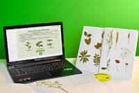 Гербарий натурально-интерактивный "Морфология растений" - fgospostavki.ru - Казань