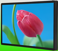 Киоск информационный настенный сенсорный 27" (вариант 1) - fgospostavki.ru - Казань