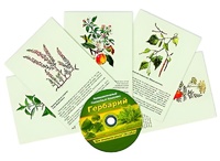 Интерактивный наглядный комплекс "Гербарий "Для начальной школы" - fgospostavki.ru - Казань