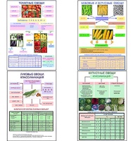 Плакаты ПРОФТЕХ "Классификация овощей" (11 пл, винил, 70х100) - fgospostavki.ru - Казань