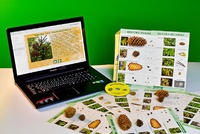 Коллекция натурально-интерактивная "Шишки, плоды, семена деревьев и кустарников" - fgospostavki.ru - Казань