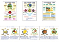 Плакаты ПРОФТЕХ "Плоды" (6 пл, винил, 70х100) - fgospostavki.ru - Казань