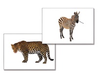 Дидактическое пособие "Дикие животные" - fgospostavki.ru - Казань