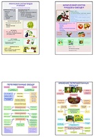 Плакаты ПРОФТЕХ "Классификация овощей и переработка" (8 пл, винил, 70х100) - fgospostavki.ru - Казань
