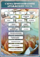 Стенд "Схема приготовления дрожжевого теста" - fgospostavki.ru - Казань