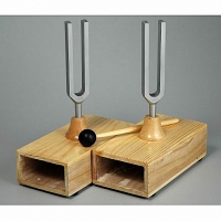 Камертоны на резонансных ящиках с молоточком - fgospostavki.ru - Казань