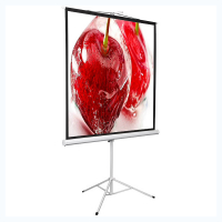 Экран на штативе DSKD-1106 - fgospostavki.ru - Казань