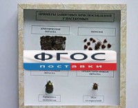 Коллекция энтомологическая "Примеры защитных приспособлений у насекомых" - fgospostavki.ru - Казань