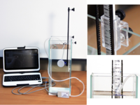 Набор демонстрационный «Гидростатика и плавание тел» - fgospostavki.ru - Казань