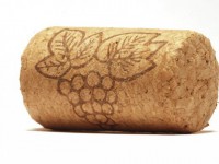 Роторасширитель Пробка - fgospostavki.ru - Казань