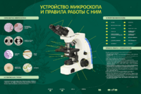Электрифицированный стенд "Устройство микроскопа и правила работы c ним" - fgospostavki.ru - Казань