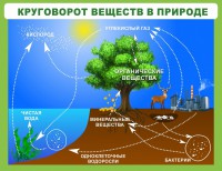 Стенд "Круговорот веществ" - fgospostavki.ru - Казань