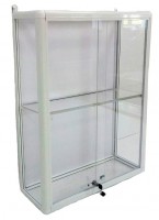 Шкаф-витрина для кубков и наград Вариант 1 - fgospostavki.ru - Казань